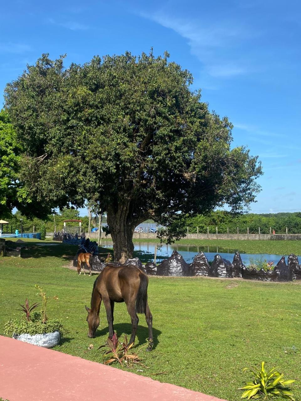 Country house Marajoara- Fazenda-turismo De Aventura Soure