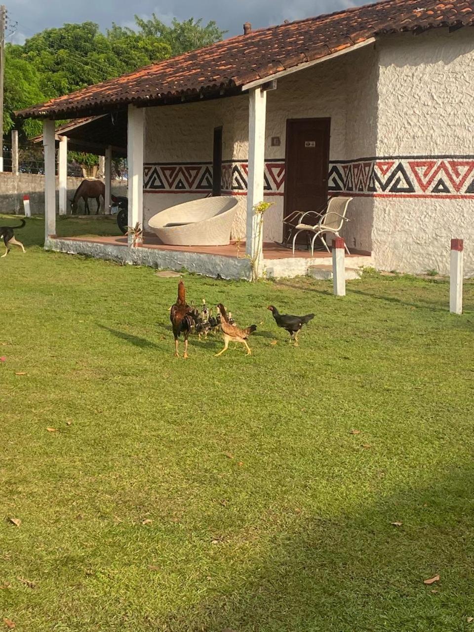 Marajoara- Fazenda-turismo De Aventura *