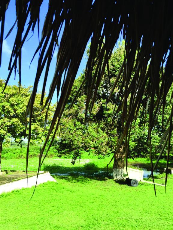 Marajoara- Fazenda-turismo De Aventura