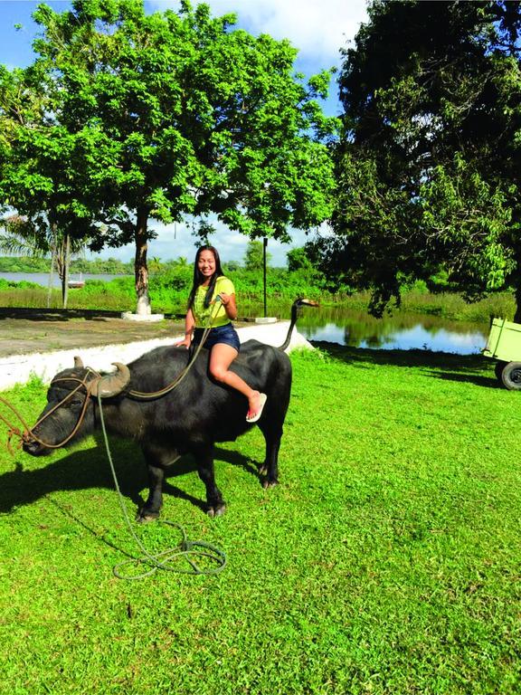 Country house Marajoara- Fazenda-turismo De Aventura Soure