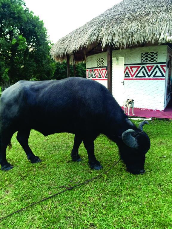 Marajoara- Fazenda-turismo De Aventura