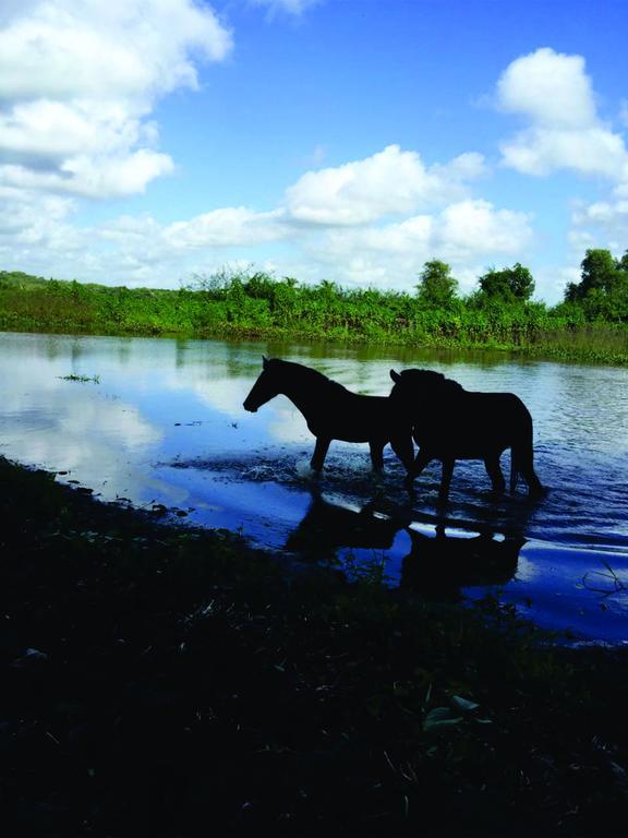 Marajoara- Fazenda-turismo De Aventura