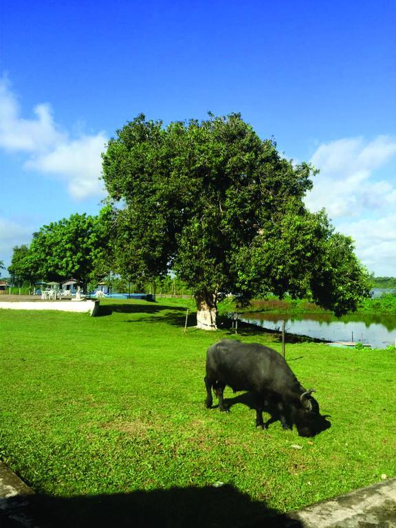 Marajoara- Fazenda-turismo De Aventura